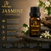 Adisaga Jasmine Essential Oil